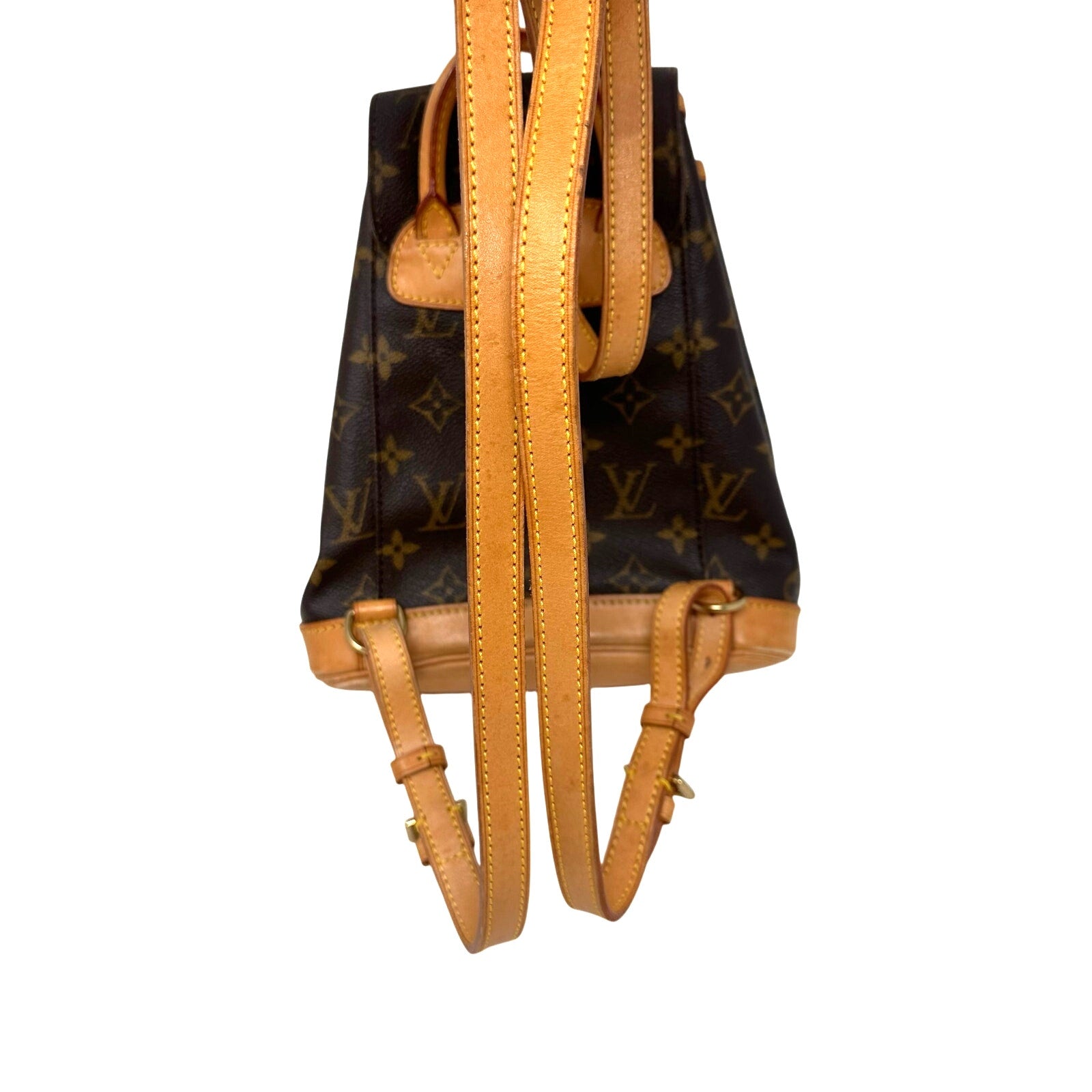 Louis Vuitton LV Monogram Montsouris PM Mini Backpack
