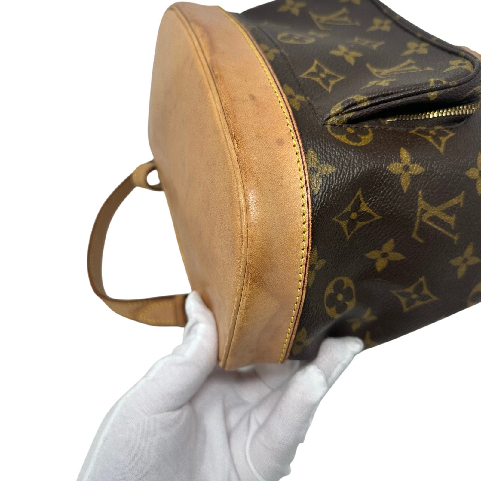 Louis Vuitton LV Monogram Montsouris MM Small Backpack