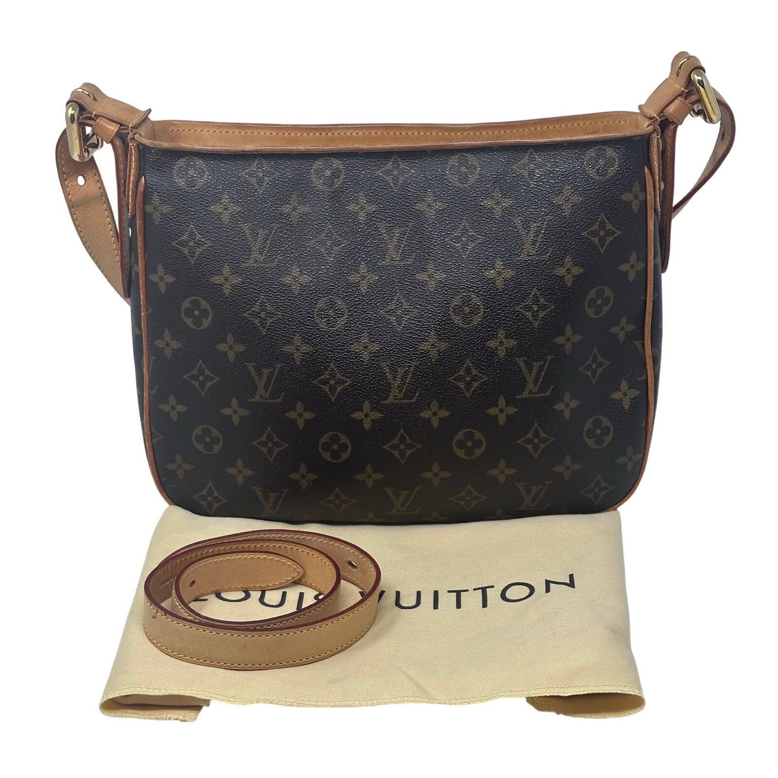 Louis Vuitton LV Monogram Hudson GM Crossbody Bag