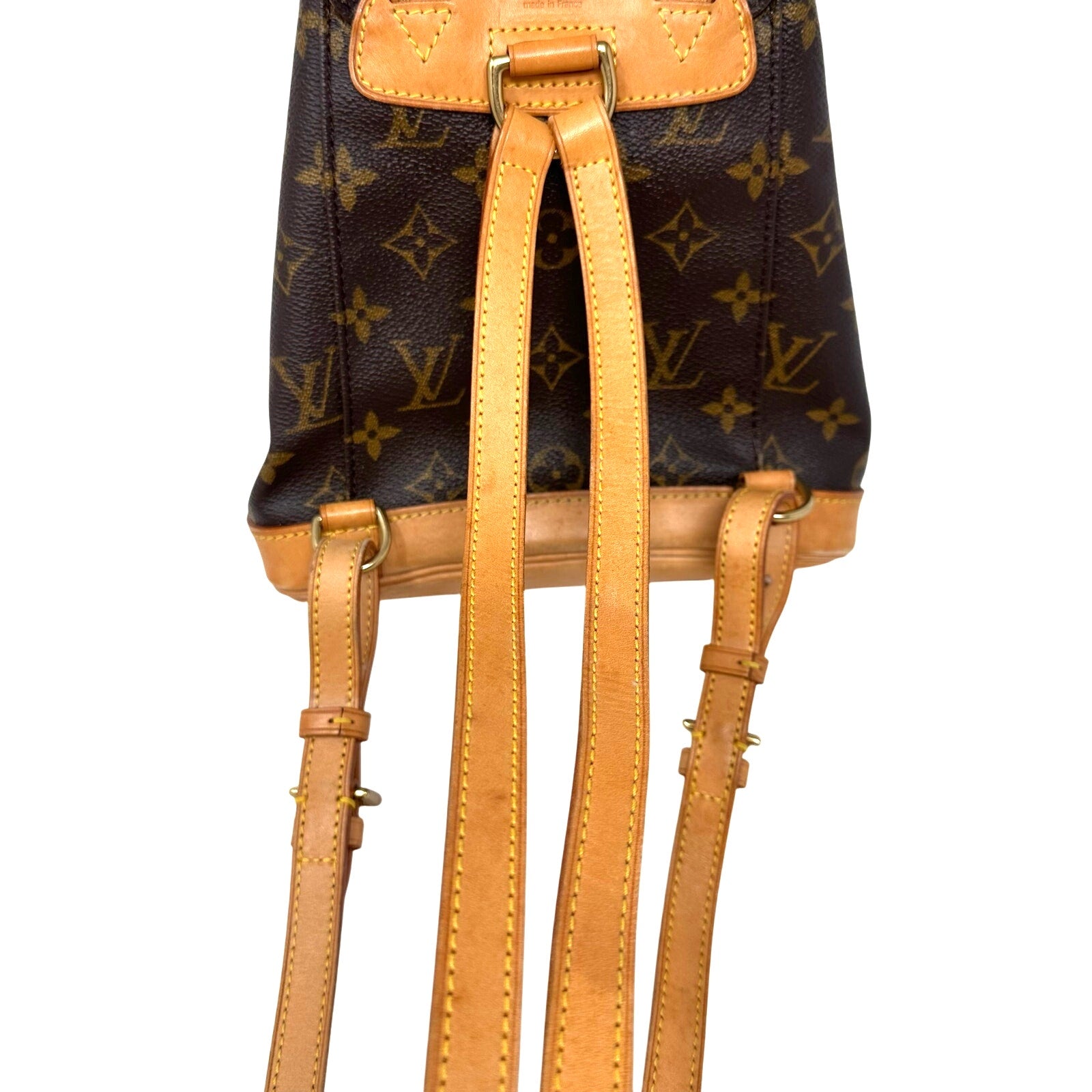 Louis Vuitton LV Monogram Montsouris PM Mini Backpack