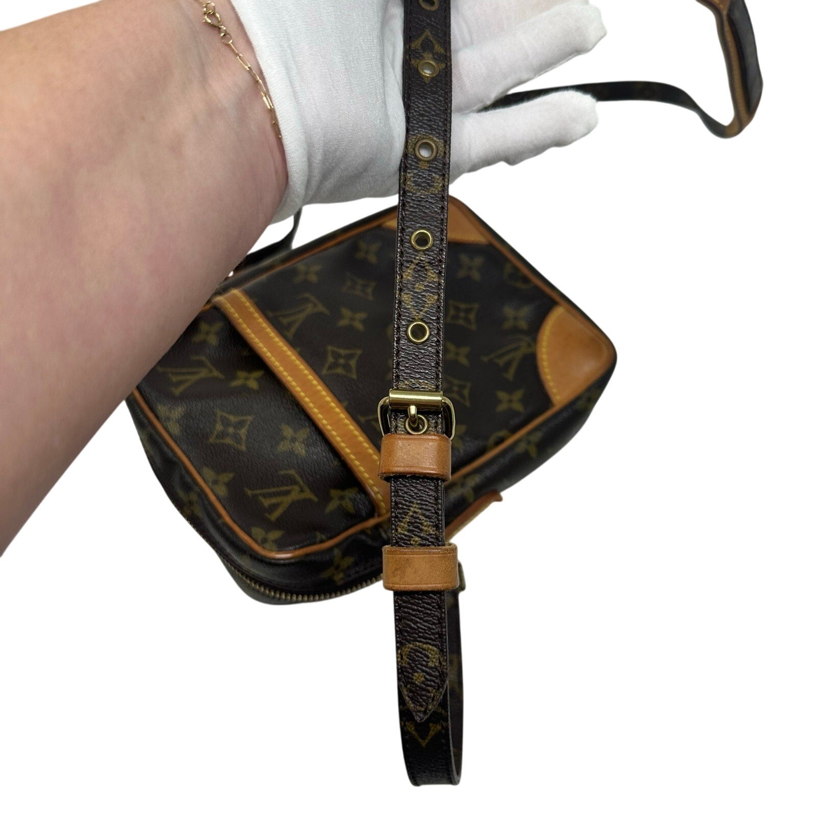 Louis Vuitton LV Monogram Danube Crossbody Bag