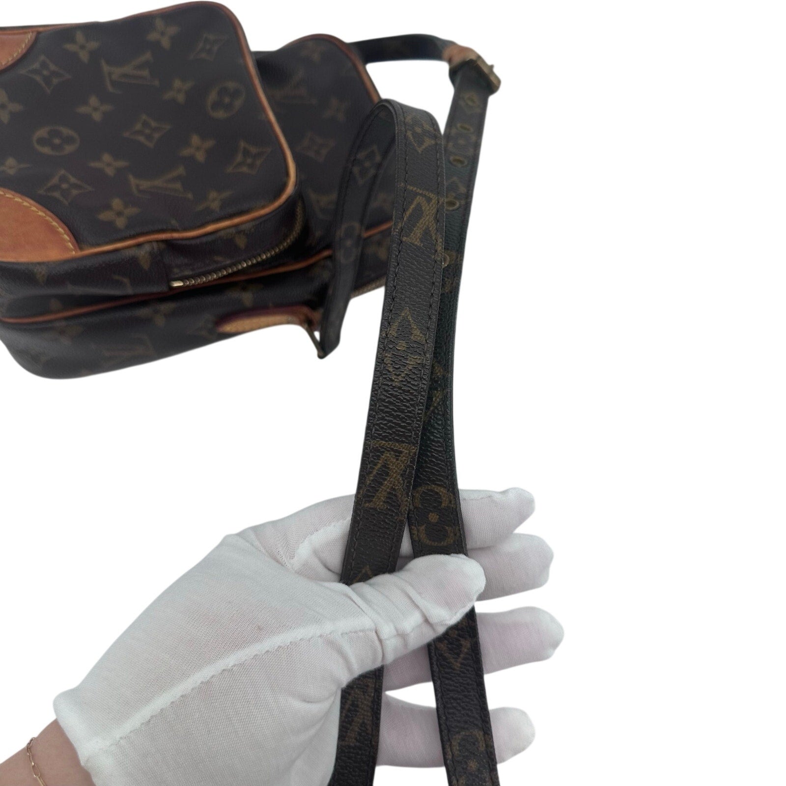 Louis Vuitton LV Monogram Amazone Crossbody Bag