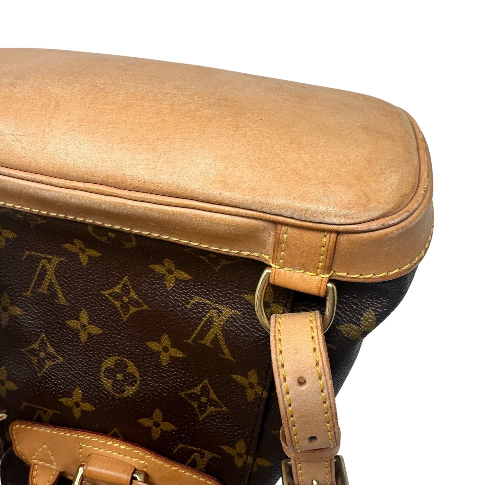 Louis Vuitton LV Monogram Montsouris PM Mini Backpack