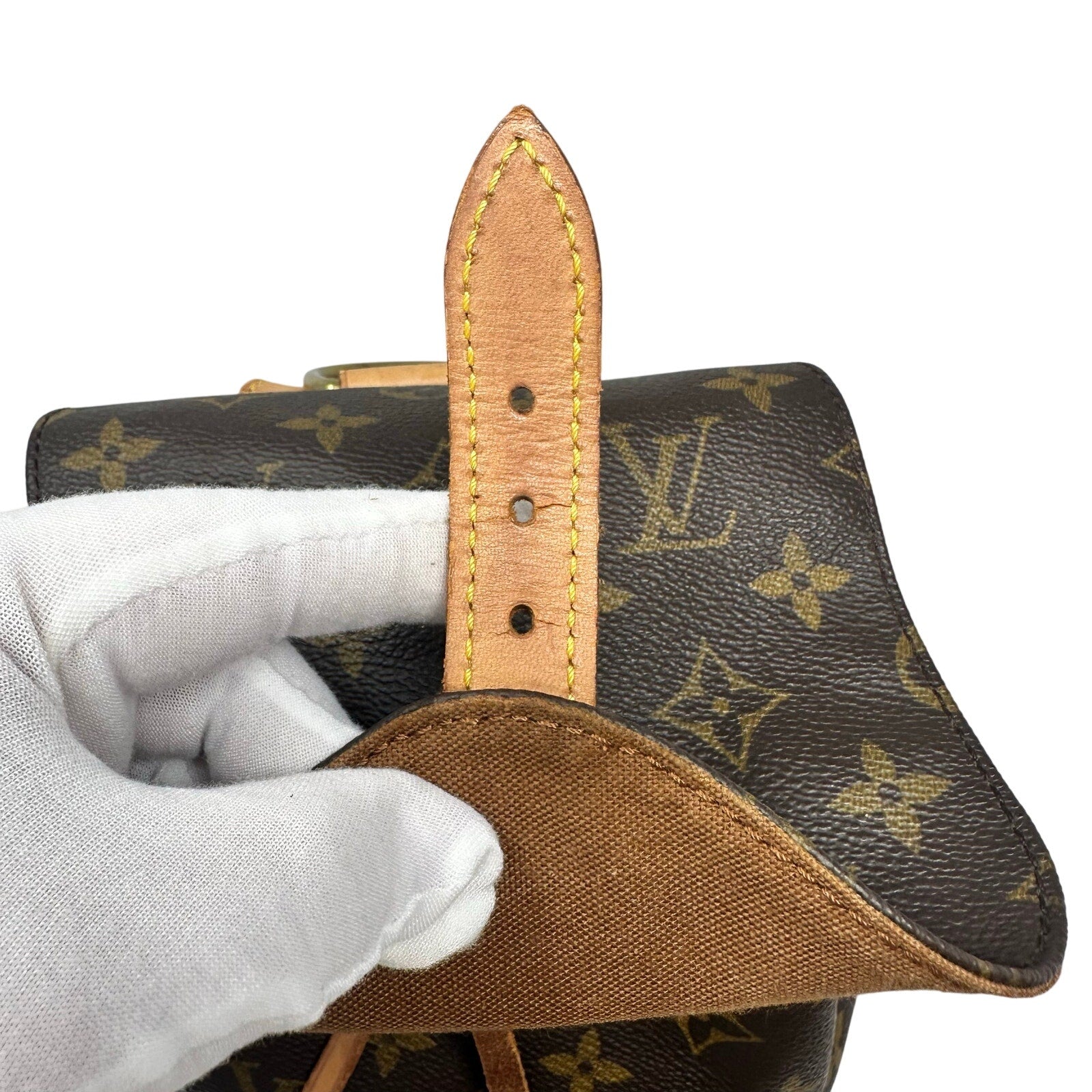 Louis Vuitton LV Monogram Montsouris MM Small Backpack