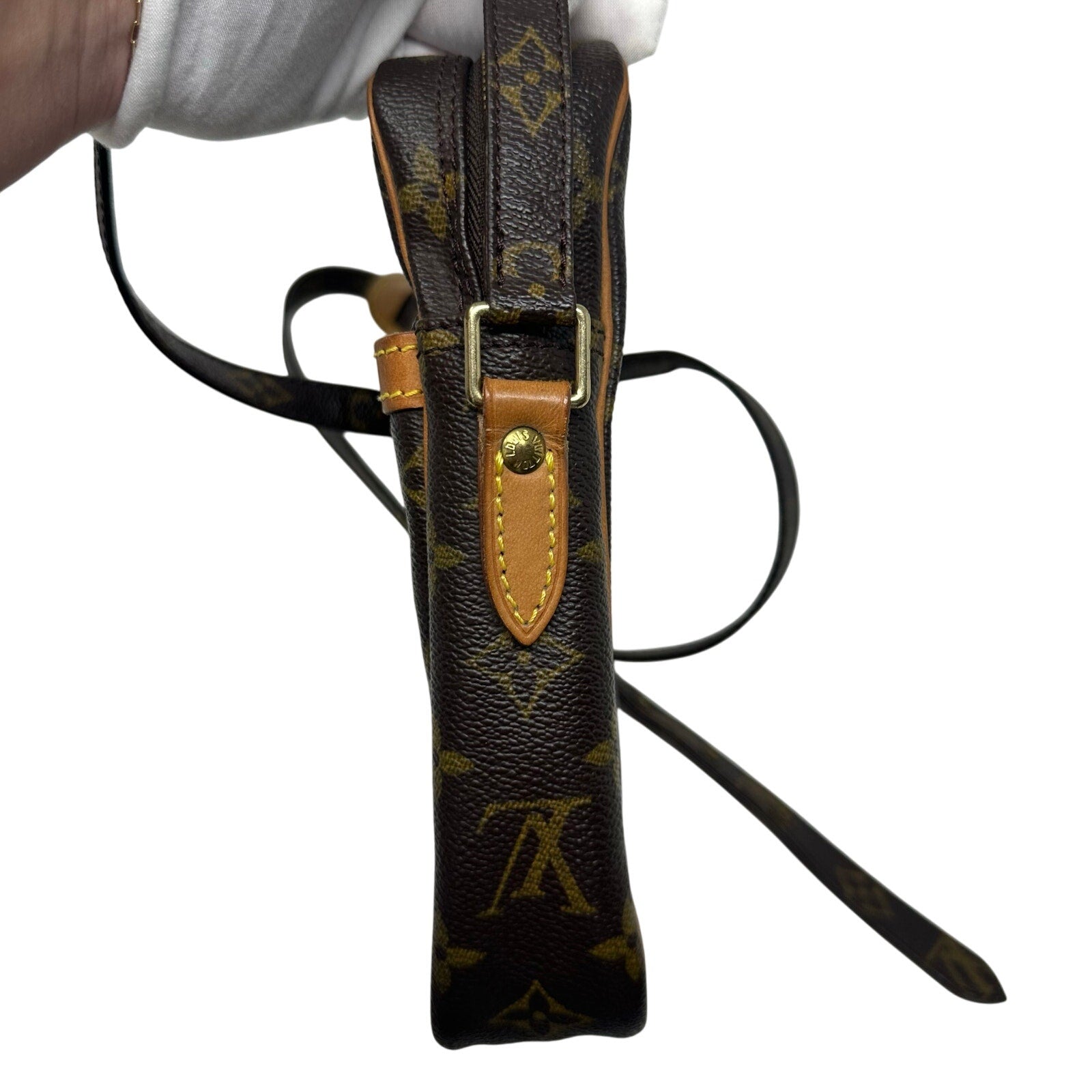 Louis Vuitton LV Monogram Danube Crossbody Bag