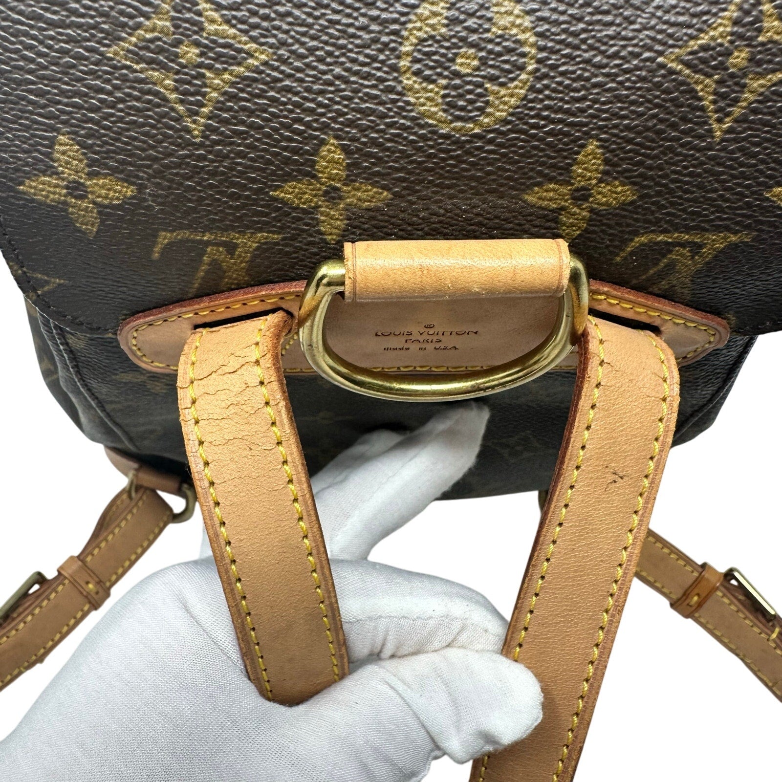 Louis Vuitton LV Monogram Montsouris MM Small Backpack