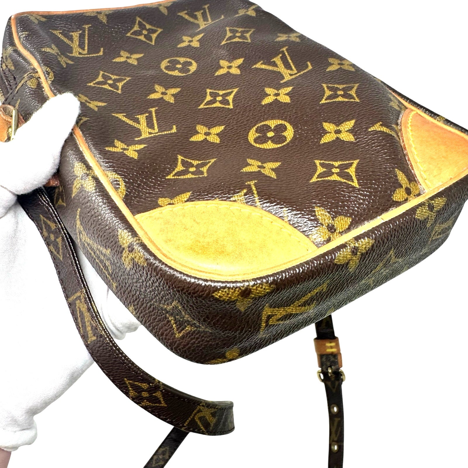 Louis Vuitton LV Monogram Danube Crossbody Bag