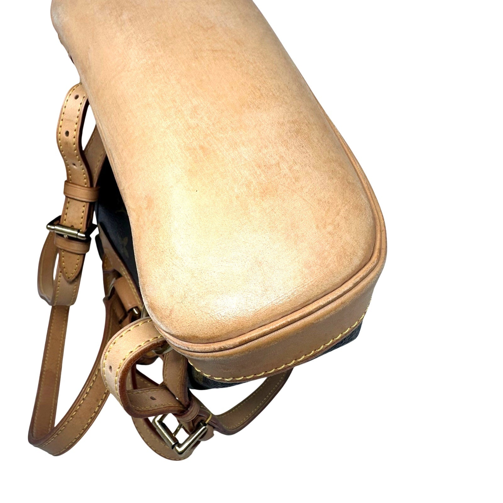 Louis Vuitton LV Monogram Montsouris PM Mini Backpack