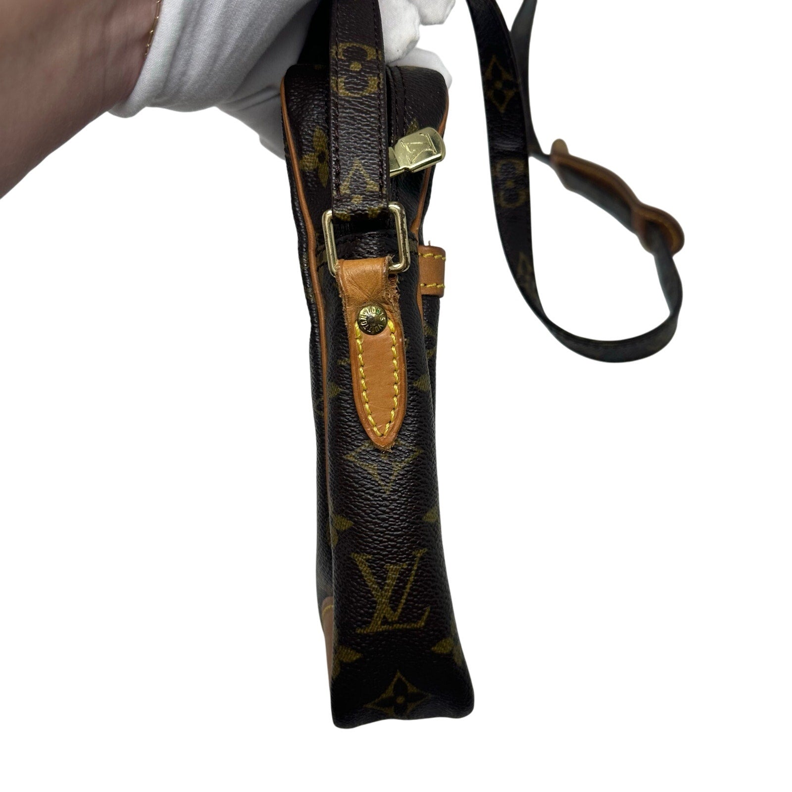 Louis Vuitton LV Monogram Danube Crossbody Bag