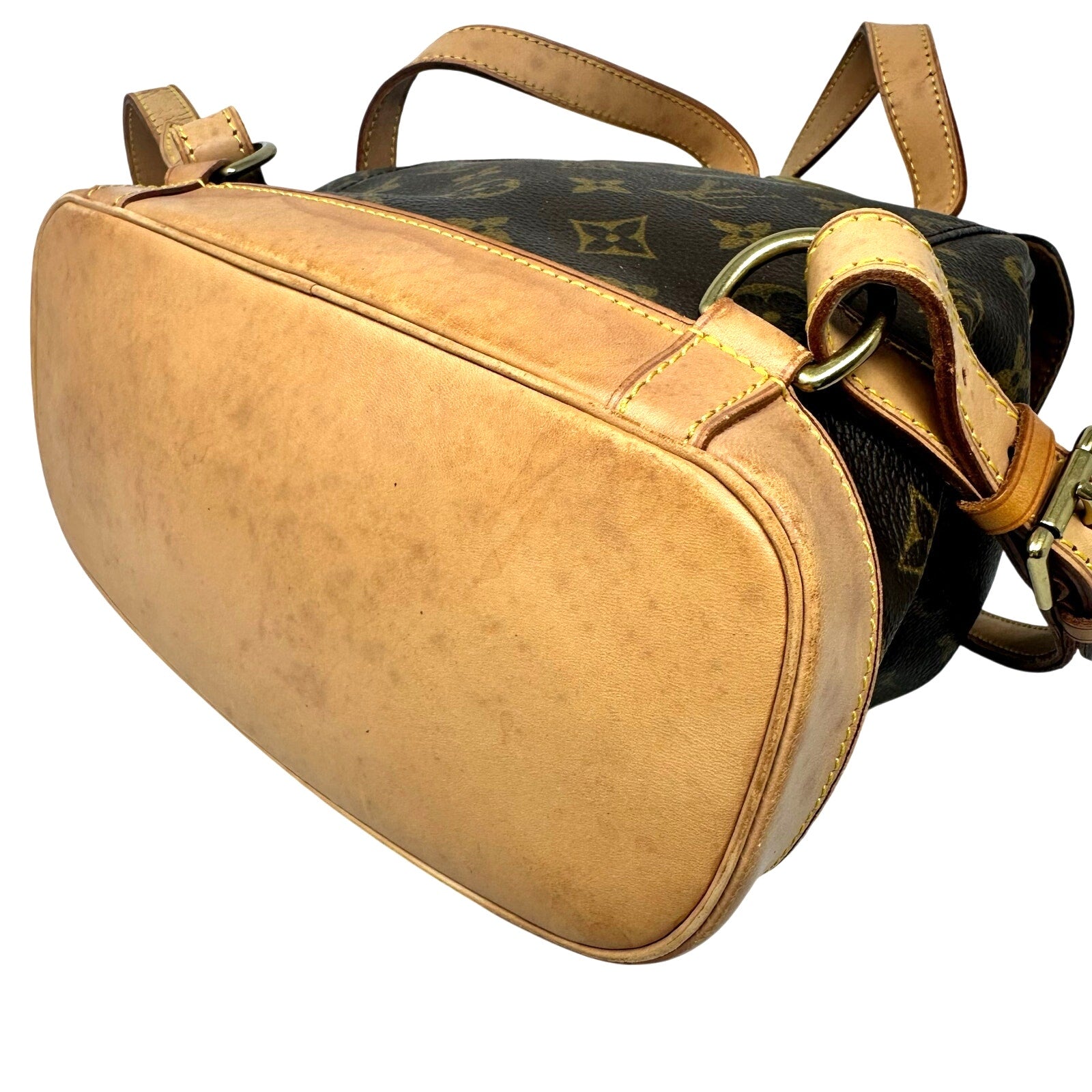 Louis Vuitton LV Monogram Montsouris MM Small Backpack