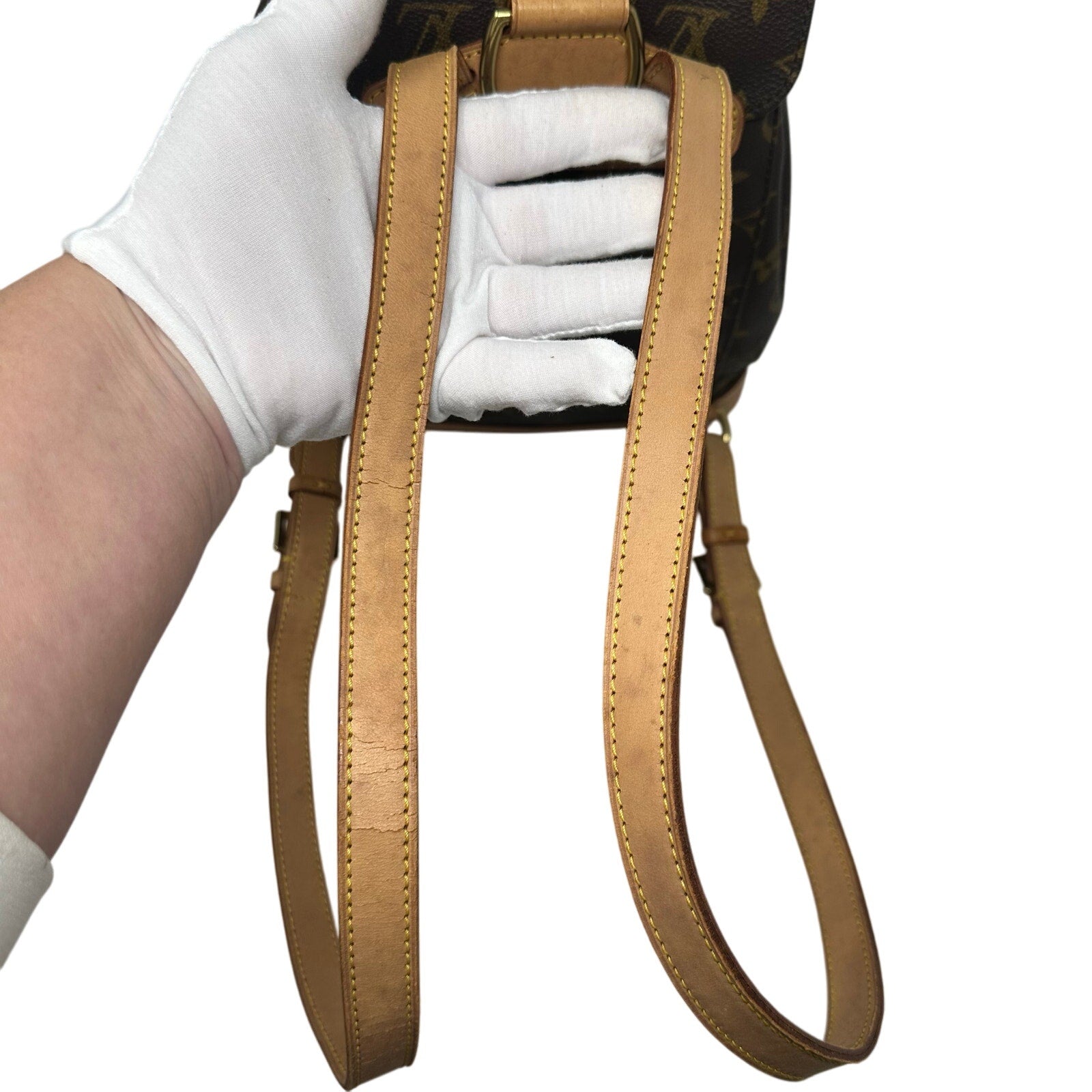 Louis Vuitton LV Monogram Montsouris MM Small Backpack