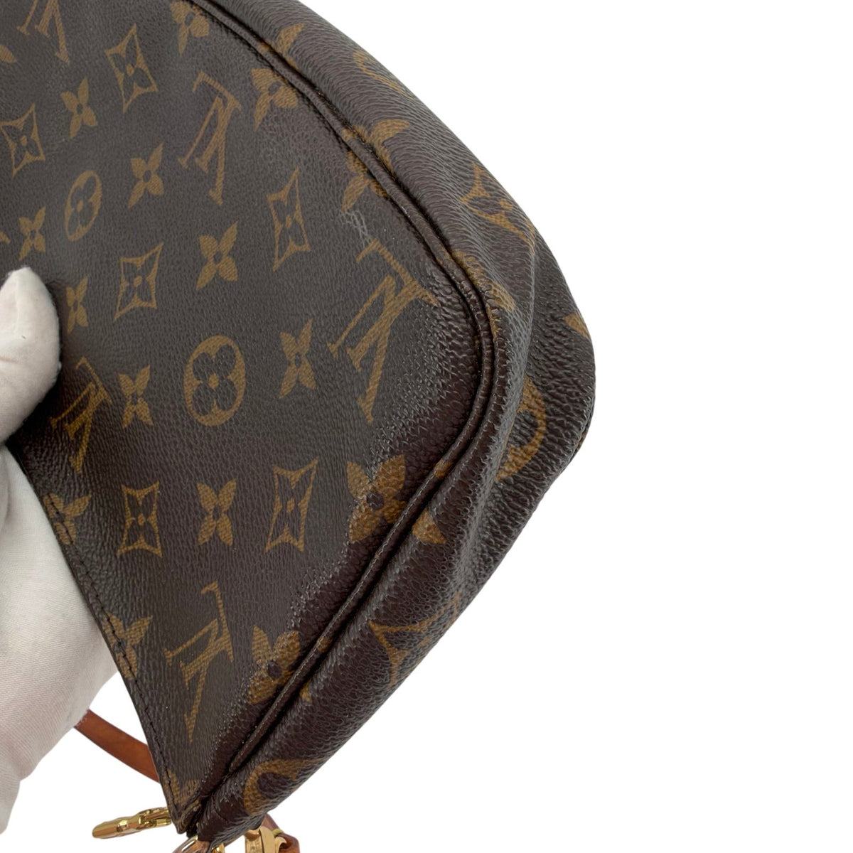 Louis Vuitton LV Monogram Pochette Accessoires Bag