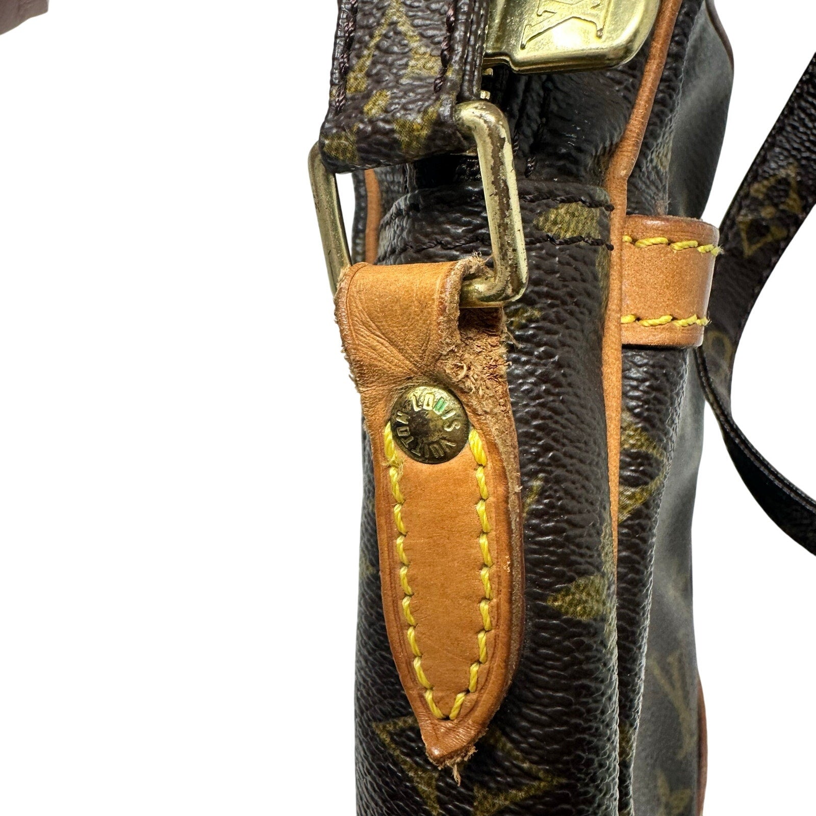 Louis Vuitton LV Monogram Danube Crossbody Bag