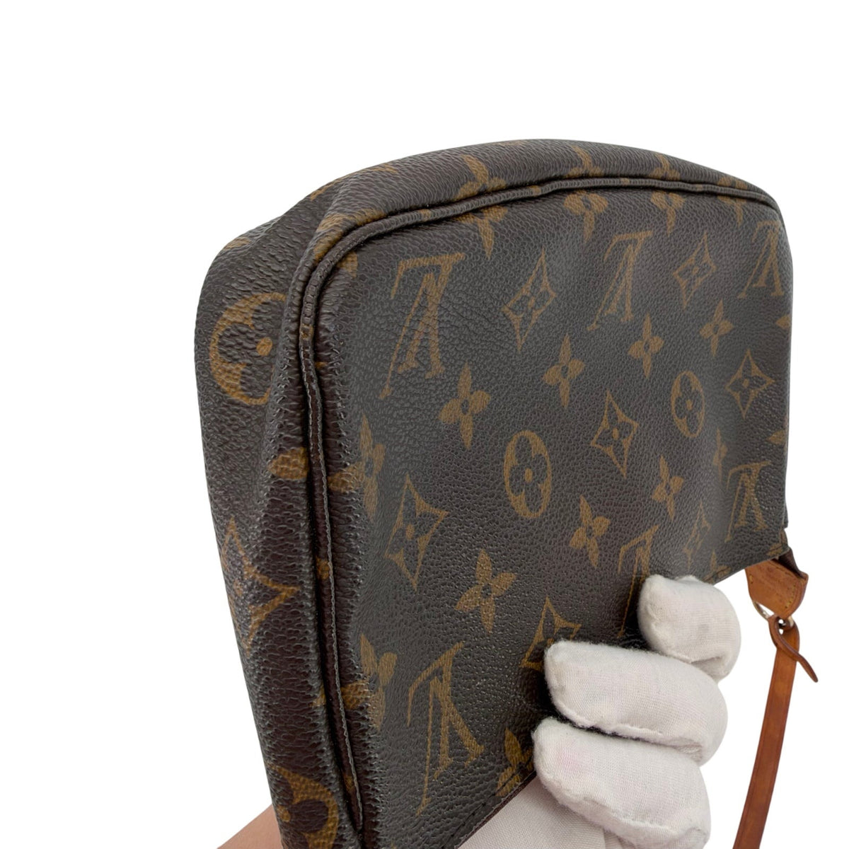 Louis Vuitton LV Monogram Pochette Accessoires Bag