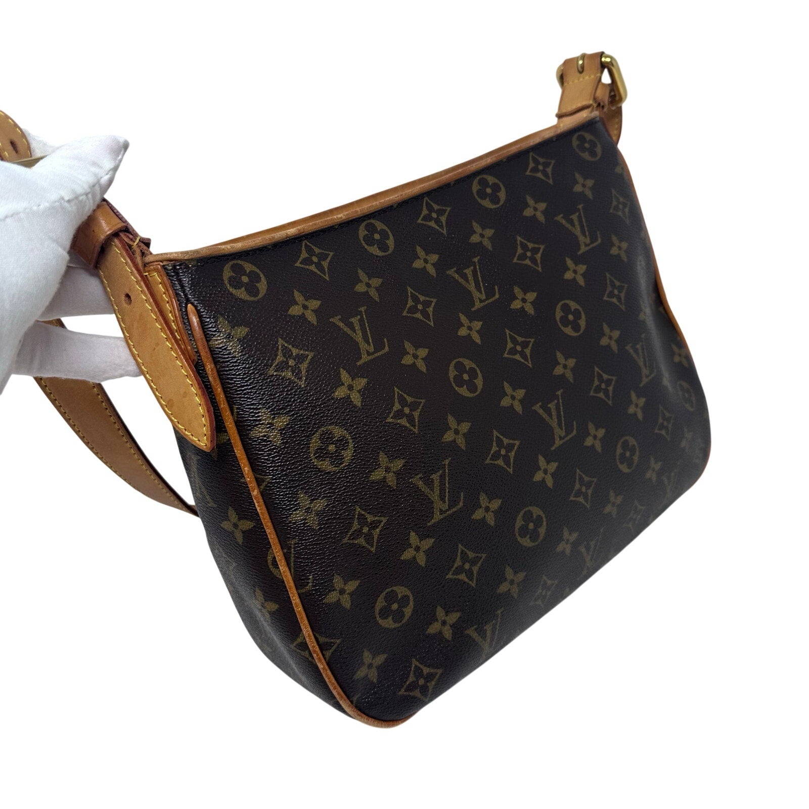 Louis Vuitton LV Monogram Hudson GM Crossbody Bag
