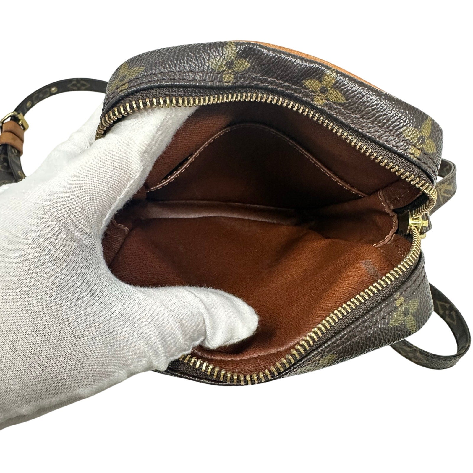 Louis Vuitton LV Monogram Danube Crossbody Bag