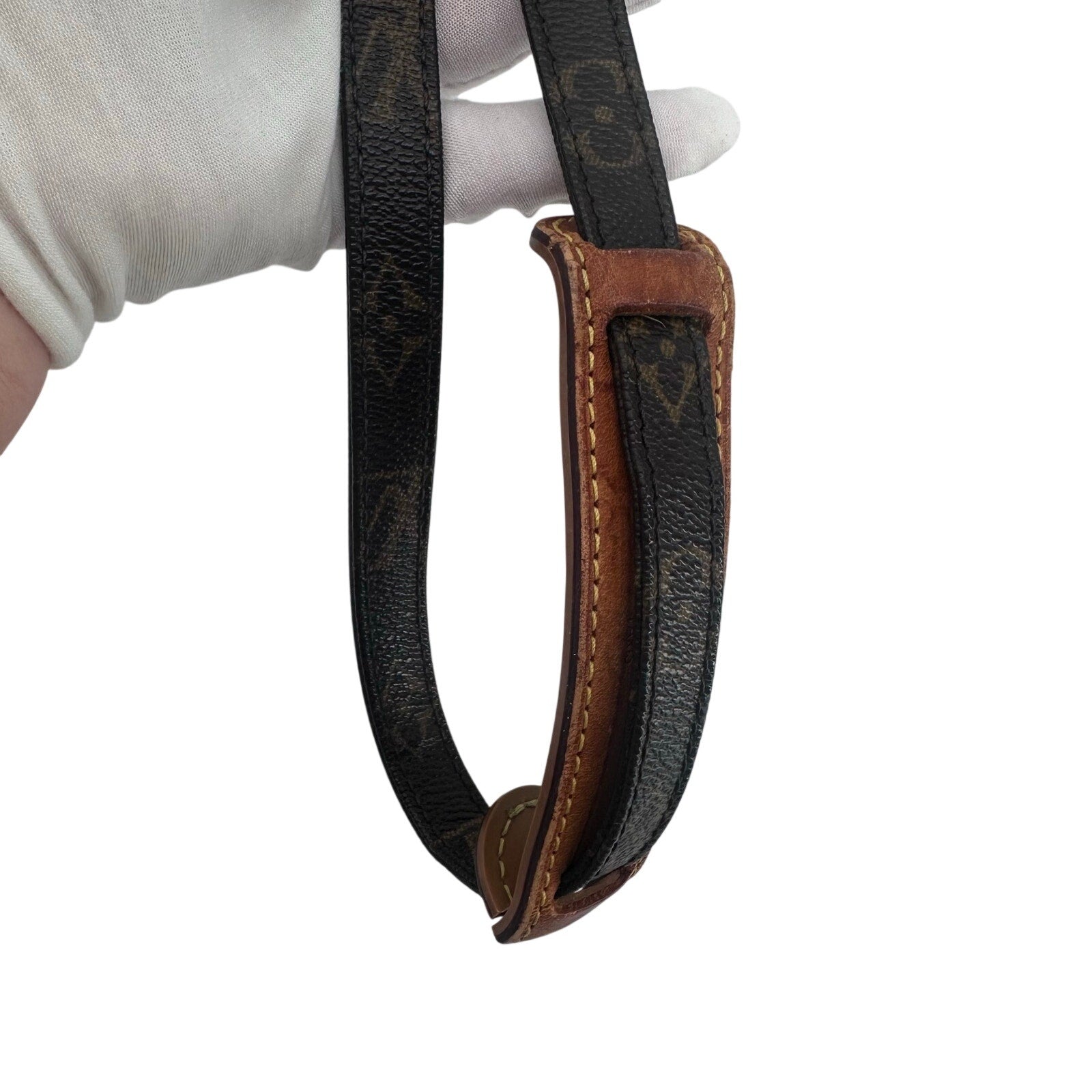 Louis Vuitton LV Monogram Amazone Crossbody Bag