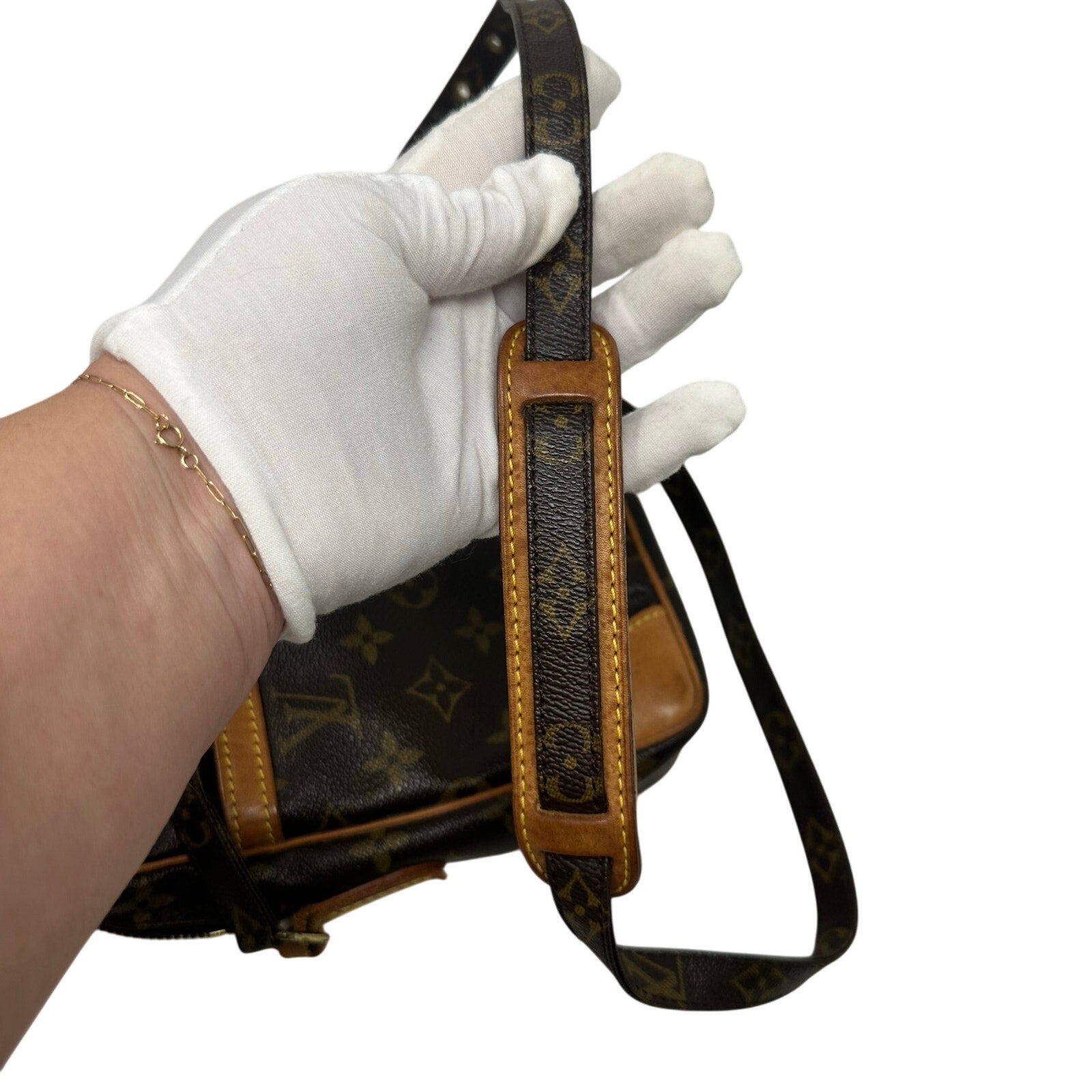Louis Vuitton LV Monogram Danube Crossbody Bag