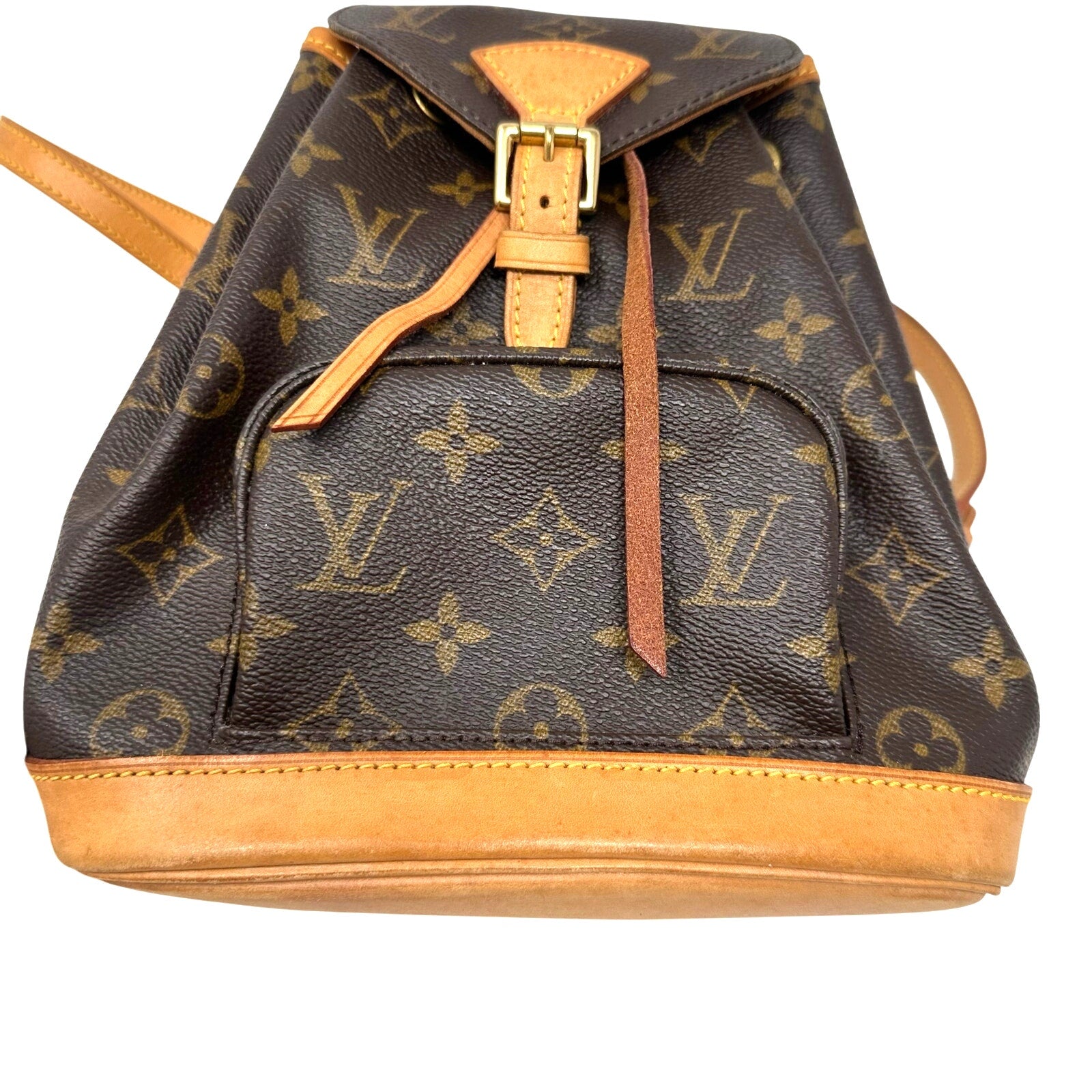 Louis Vuitton LV Monogram Montsouris PM Mini Backpack