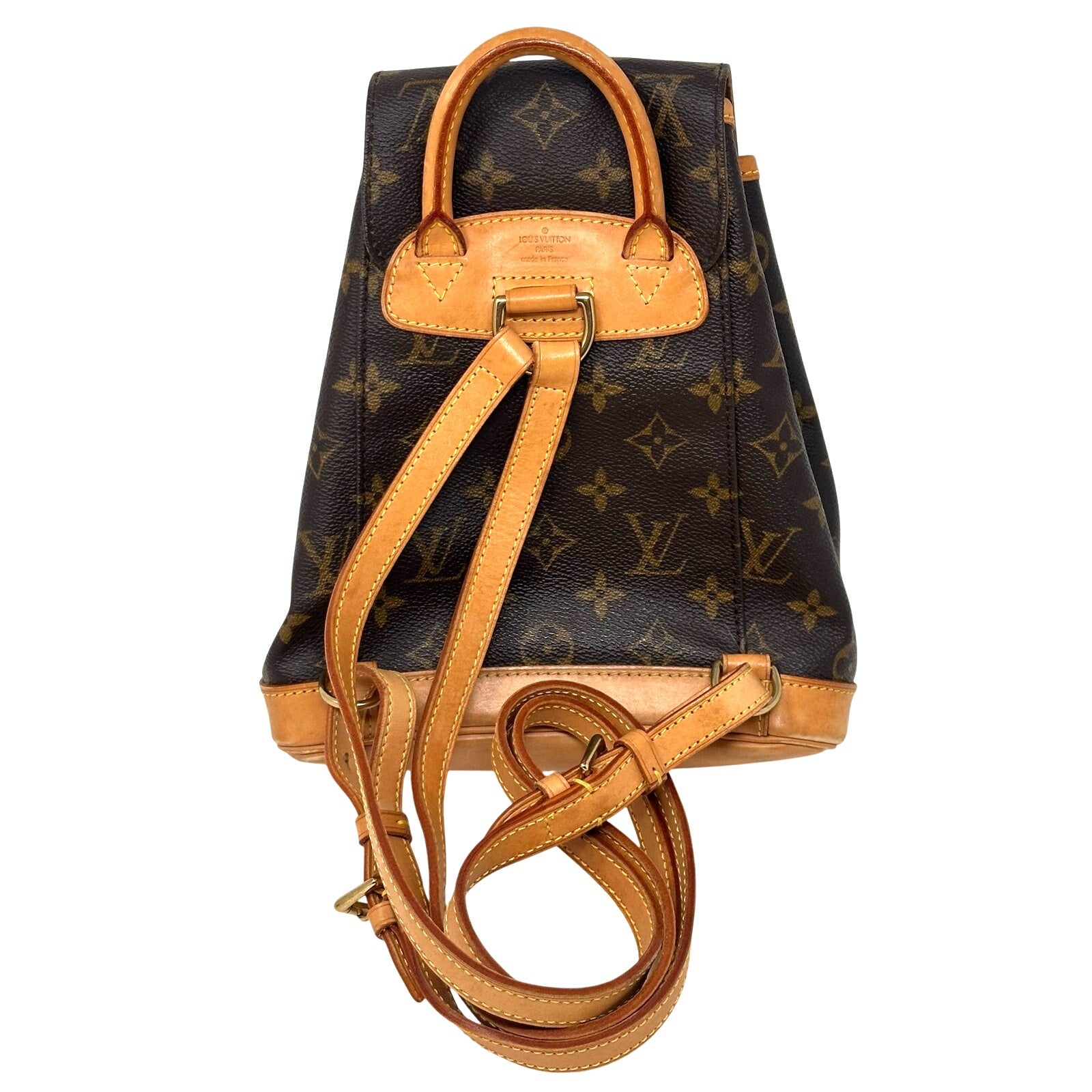 Louis Vuitton LV Monogram Montsouris PM Mini Backpack