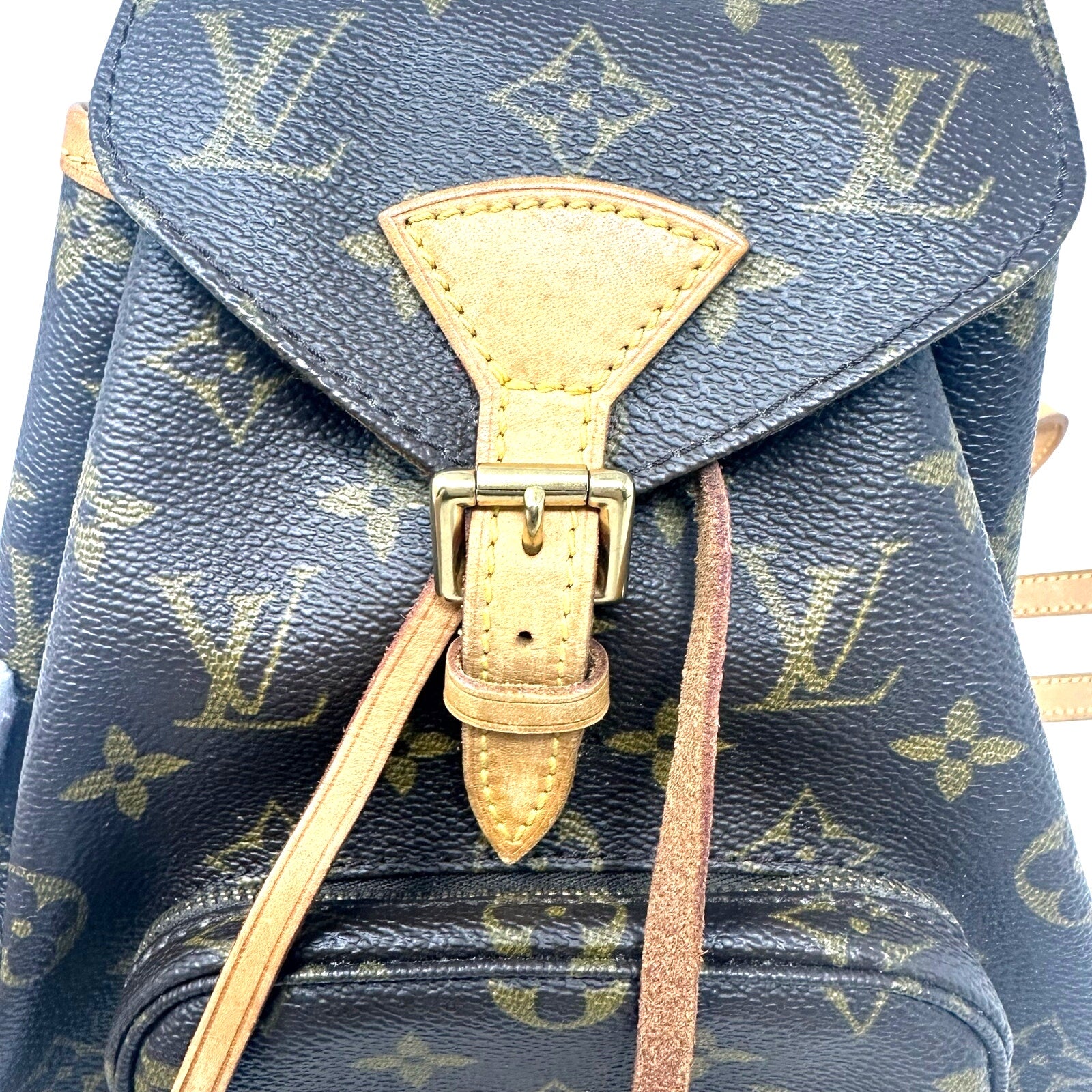 Louis Vuitton LV Monogram Montsouris PM Mini Backpack