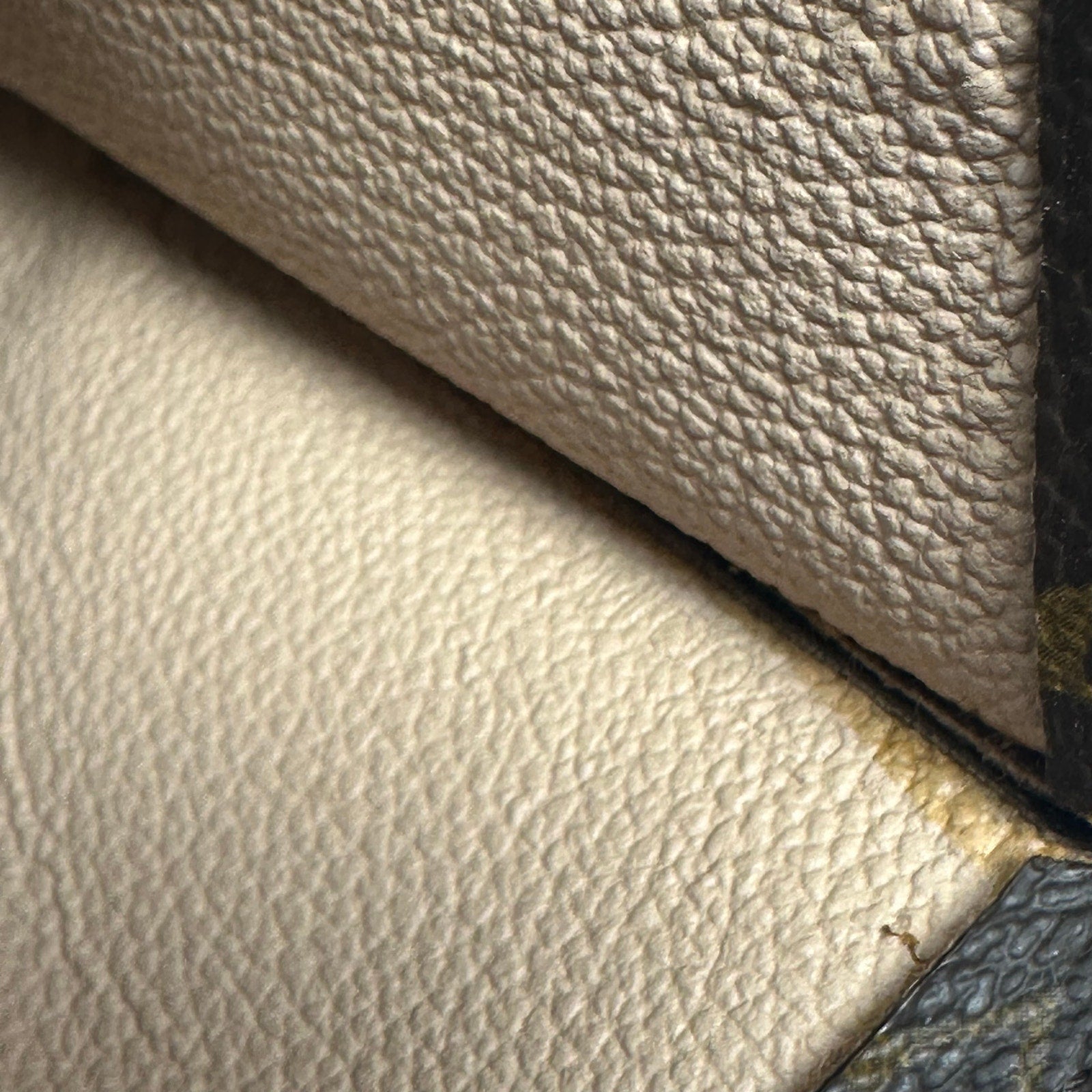Louis Vuitton LV Monogram Sac Plat Tote Bag